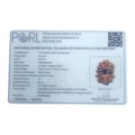 14-Mukhi-Nepal-Rudraksha-27.61-Mm