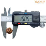 5 Face Rudraksha Nepal - (15.05 MM )