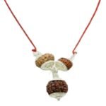 7-9-and-12-mukhi combination