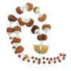 Sampoorna Rudraksha Nepal Mala 1 To 14 Mukhi 12 Sampoorna Rudraksha Nepal Mala 1 To 14 Mukhi