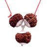 Rudraksha Combination For Protection From Jealousy, Evil Eye And Black Magic