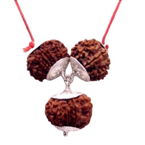 Rudraksha Combination For Protection From Jealousy, Evil Eye And Black Magic