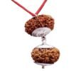 Rudraksha For Removing Of Obstacles 5 Rudraksha For Stability