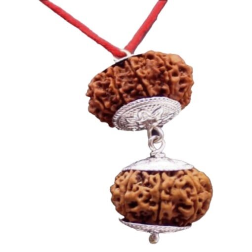 Rudraksha For Removing Of Obstacles 4 Rudraksha For Stability