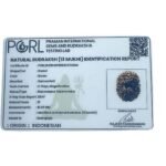 13 Mukhi Indonesian Rudraksha (16.00 Mm)