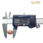 13 Mukhi Indonesian Rudraksha (16.00 Mm)