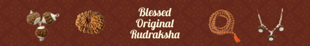 Blessed-Original-Rudraksha-By Rudrapuja