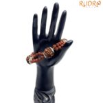 4 Mukhi Rudraksha Bracelet