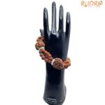 5 Mukhi Rudraksha Bracelet For Health