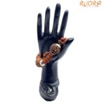 5 Mukhi Rudraksha Bracelet For Health