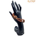 5 Mukhi Rudraksha Bracelet For Health