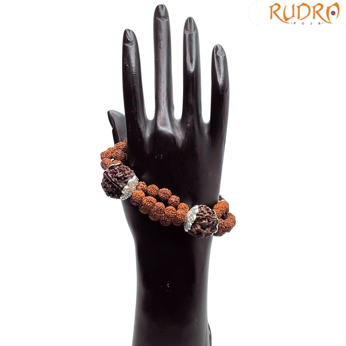 6 Mukhi Rudraksha Bracelet