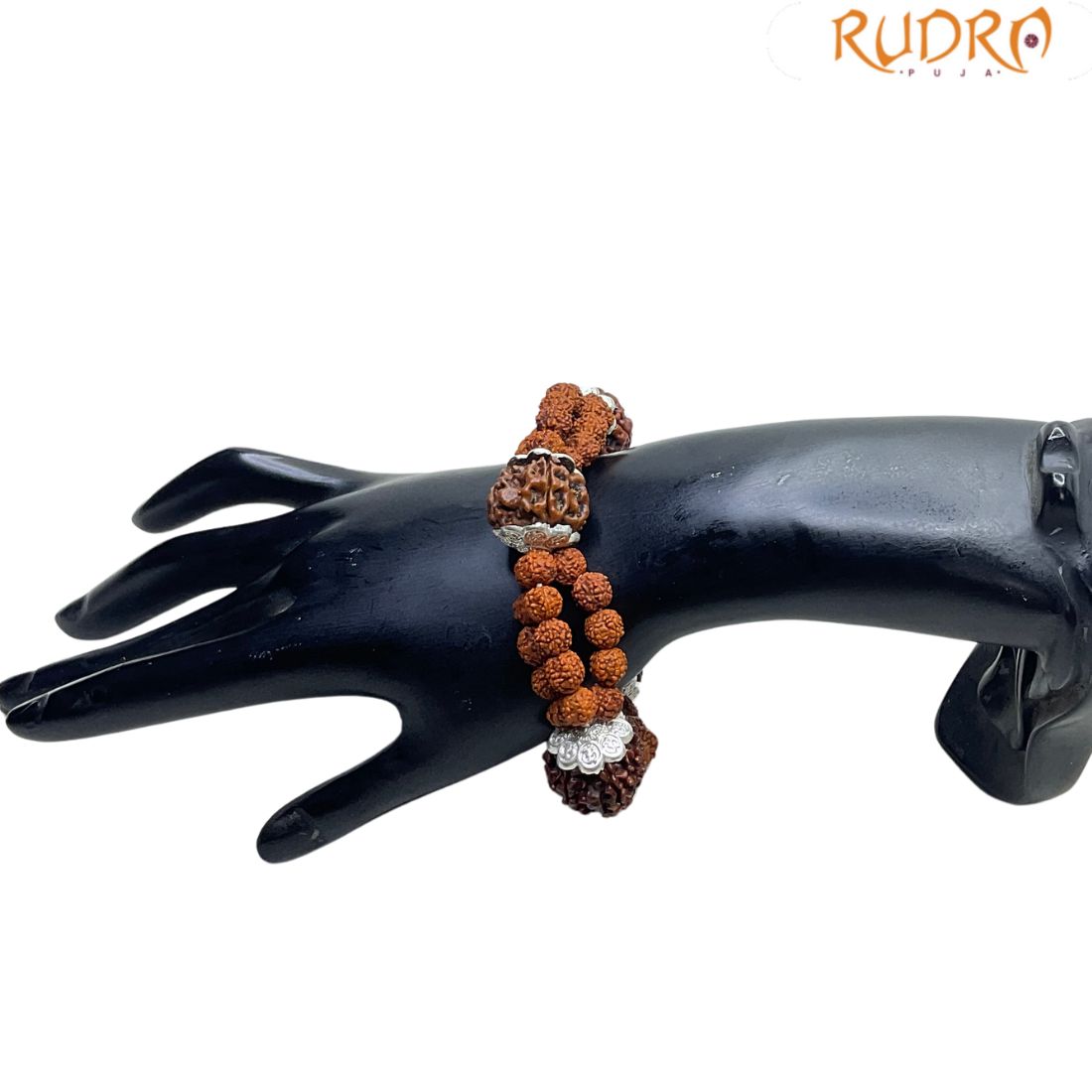 6 Mukhi Rudraksha Bracelet