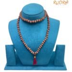 10 Mukhi Rudraksha Mala