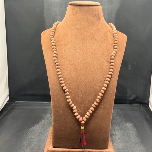 10 Mukhi Rudraksha Mala