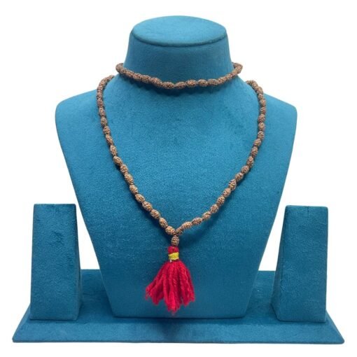 2 Mukhi Rudraksha Mala
