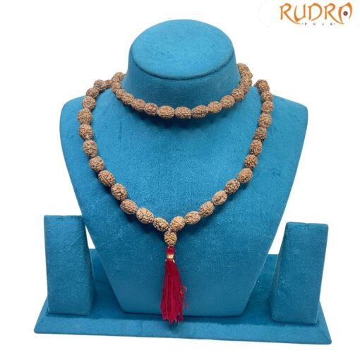 3 Mukhi Rudraksha Mala