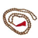 3 Mukhi Rudraksha Mala