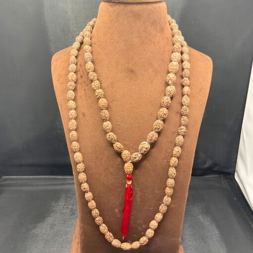 3 Mukhi Rudraksha Mala UP