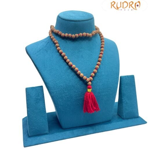 6 Mukhi Rudraksha Mala
