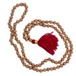 6 Mukhi Rudraksha Mala