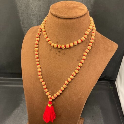 6 Mukhi Rudraksha Mala LP