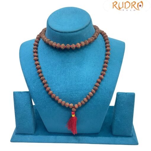 8 Mukhi Rudraksha Mala