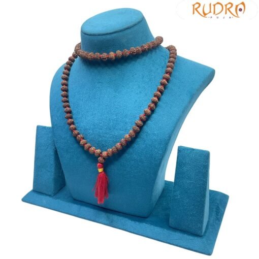 8 Mukhi Rudraksha Mala