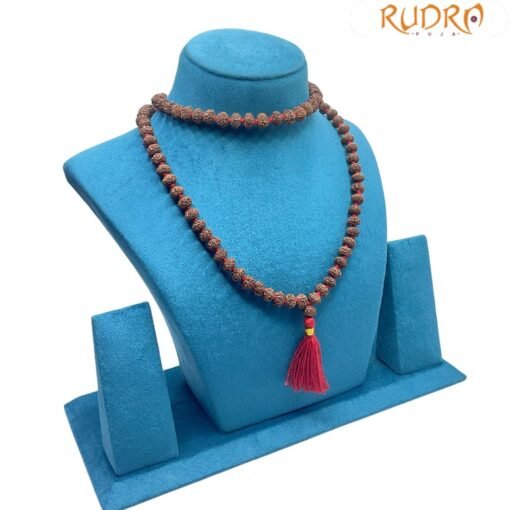 8 Mukhi Rudraksha Mala