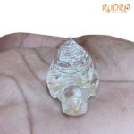 Crystal Meru Shri Yantra on Tortoise - 15 Grams