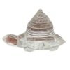 Crystal Meru Shri Yantra On Tortoise - 54 Grams