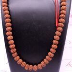 Benefits And Different Power Combination Of Rudraksha Beads
