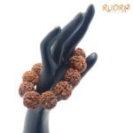 Premium 5 Mukhi Kantha Bracelet