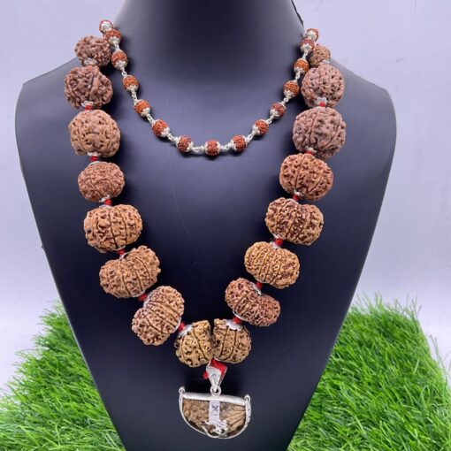 Premium Siddhi Rudraksha Mala 1 To 14 Mukhi Nepal Beads