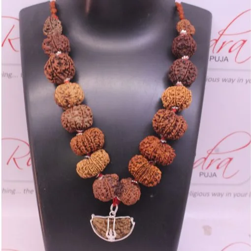 Premium Siddhi Rudraksha Mala 1 To 14 Mukhi Nepal Beads - Image 2
