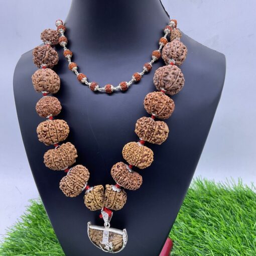 Premium Siddhi Rudraksha Mala 1 To 14 Mukhi Nepal Beads