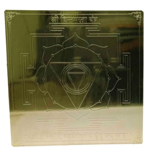 Chinmasta Gold Plated 12 Inch