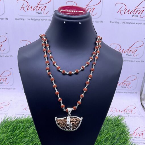(एक मुखी रुद्राक्ष) Collector 1 Mukhi Rudraksha With 5 Mukhi Silver Capped (28 Inches)