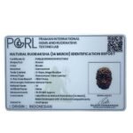 Certified Indonesian 14 Mukhi Rudraksha (16.90 Mm )