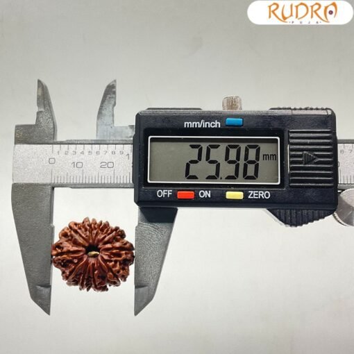 10-Mukhi-Rudraksha-Nepal-10-मुखी-रुद्राक्ष-नेपाल-25.98mm-With-X-Ray-OP-C.jpg January 2, 2025 198 KB