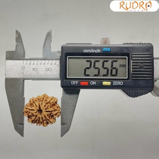 10-Mukhi-Rudraksha-Nepal-10-मुखी-रुद्राक्ष-नेपाल-26.56-mm-With-X-Ray-OP-C.jpg January 2, 2025 172 KB