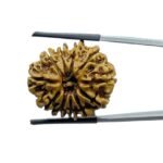 11 Mukhi Hanuman - (25.95 MM)