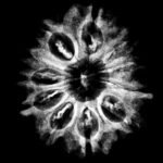 11 Mukhi Hanuman - (25.95 Mm) X-Ray