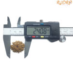 11 Mukhi Rudraksha Nepal - (24.08 MM)