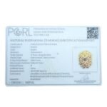 11-Mukhi-Rudraksha-Nepal-25.85Mm-Certificate