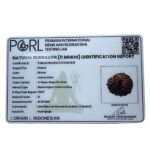 11 mukhi Indonesian Rudraksha (16.85 MM)