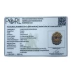 13 Face Nepal Medium Rudraksha ( 26.63 Mm )