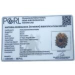 13 Face Rudraksha Nepal - Super Collector - ( 23.97 Mm ) 13 13 Face Rudraksha Nepal - Super Collector - ( 23.97 Mm )