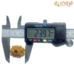 13 Face Rudraksha Nepal - Super Collector - ( 23.97 Mm ) 10 13-Face-Rudraksha-Nepal-Super-Collector-23.97-Mm