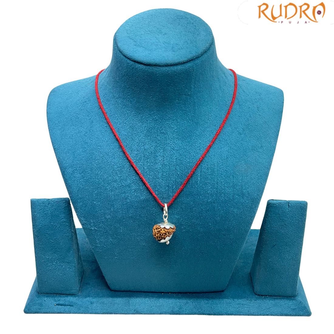 13 Mukhi Indonesian Rudraksha With Silver Capped - (18.48 MM) - Image 2